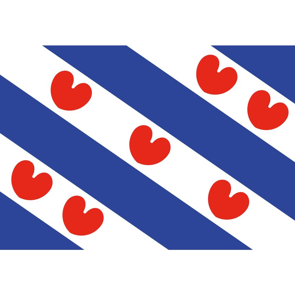 Friese vlag